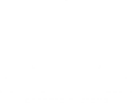 Artist Edycja